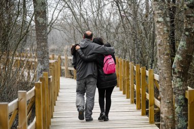 Ahşap yürüyüş yolu ormandaki