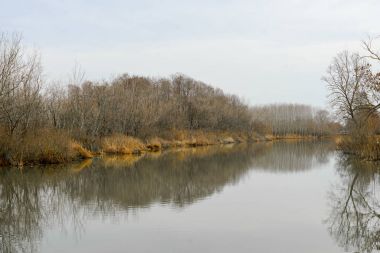 Nehir ve orman Manzaralı