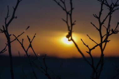 Günbatımı zamanı ve Kızıl gökyüzü