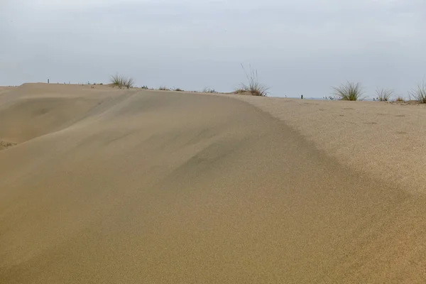 Desert Yellow Sand — Stock Photo, Image
