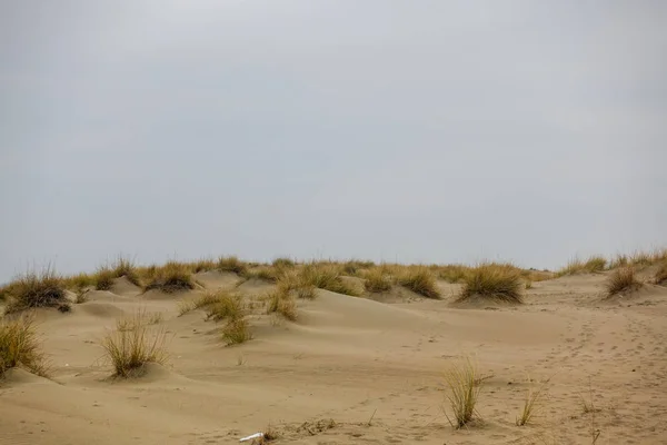 Öken Och Gul Sand Stockbild