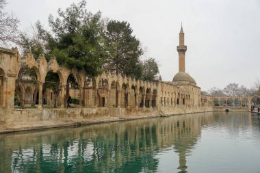 Cami ve tarihi eserler görünümü Urfa Türkiye'den