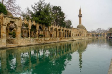Cami ve tarihi eserler görünümü Urfa Türkiye'den