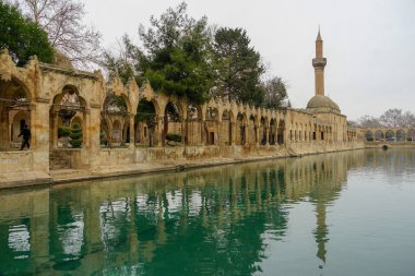Cami ve tarihi eserler görünümü Urfa Türkiye'den