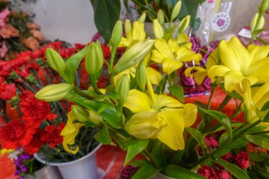 Renkli çiçekler, çiçek pazarı