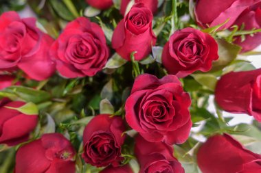 Renkli çiçekler, çiçek pazarı