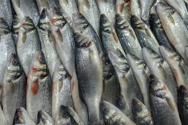 Pescados Frescos Mercado —  Fotos de Stock