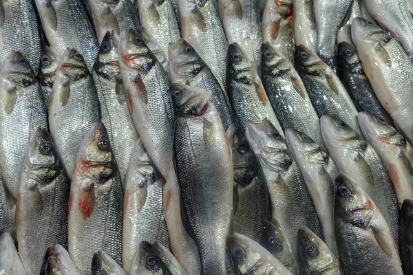 Pescados Frescos Mercado —  Fotos de Stock