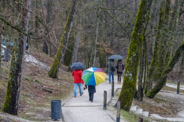 Yağmurlu bir gün ve şemsiye grubu