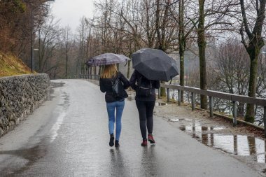 Yağmurlu bir gün ve şemsiye grubu