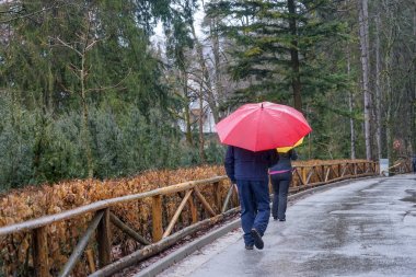 Yağmurlu bir gün ve şemsiye grubu