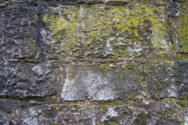 Eski boyalı duvar ve eski duvar yosun ile