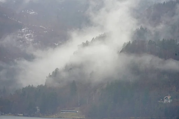 Vistas Floresta Nevoeiro — Fotografia de Stock
