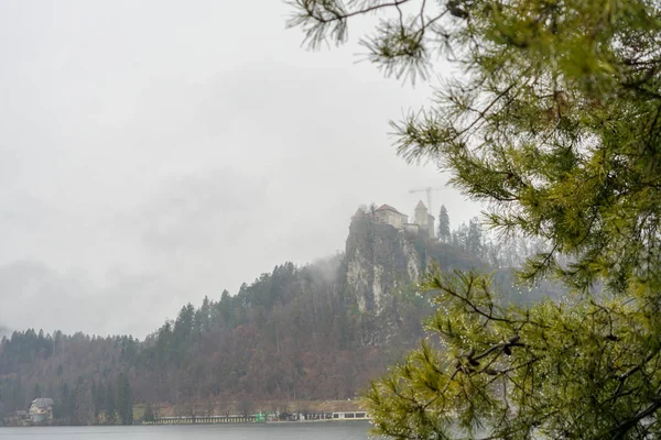 Bled Bledi Tóra Sziget Óváros — Stock Fotó