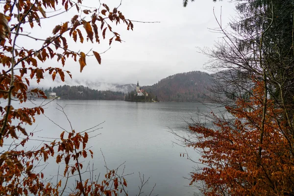 Lake Bled Uitzicht Het Eiland Meer Bled Oude Stad — Stockfoto