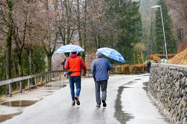 Rainy day and people with umbrellas