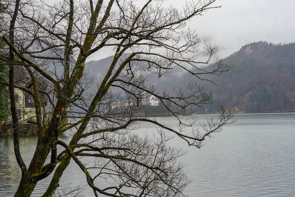 Lago Bled Vista Para Ilha Lago Bled Cidade Velha — Fotografia de Stock