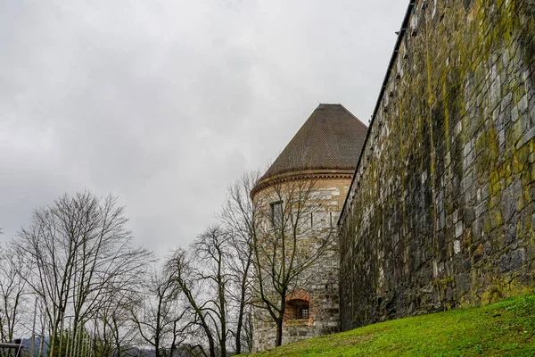 Eski Şehir Slovenya Ljubljana Bakıyor — Stok fotoğraf