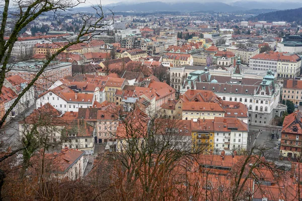 Vistas Cidade Velha Eslovênia Liubliana — Fotografia de Stock