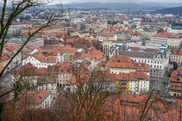 Vistas Cidade Velha Eslovênia Liubliana — Fotografia de Stock