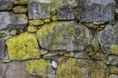 Eski boyalı duvar ve eski duvar yosun ile