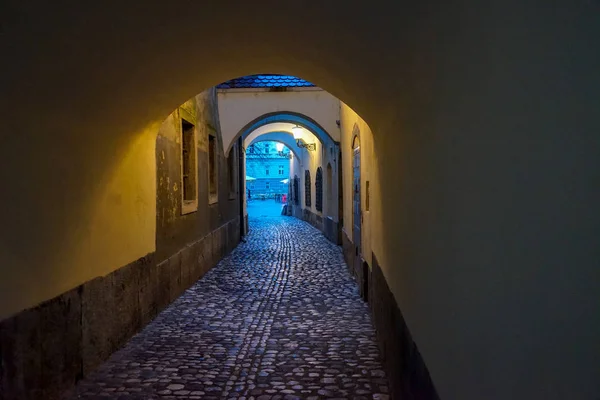 Gamla Stan Utsikt Slovenien Ljubljana — Stockfoto