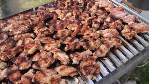 Chicken Wings Meatballs Barbecue Grill — Stock Video