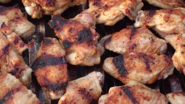 Ailes Poulet Boulettes Viande Barbecue Grill — Video