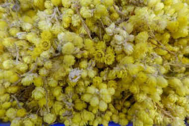 Kurutulmuş bitki ve bitkisel çaylar