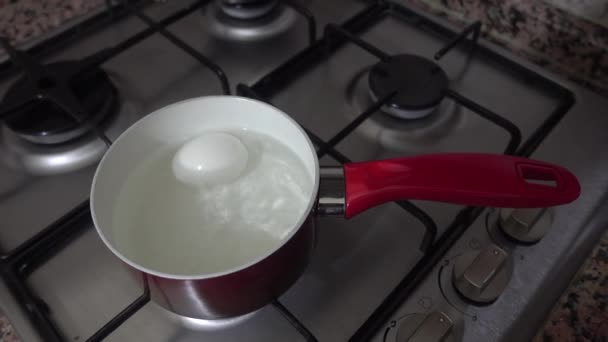 ストーブの上の卵を沸騰します — ストック動画