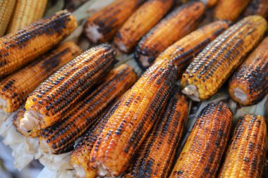 Haşlanmış ve kızarmış Mısır 