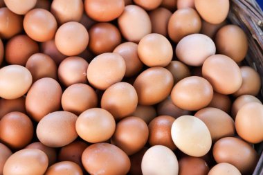 Organik yumurta doğa ürünler