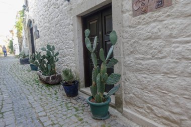 Eski kapı ve pencereler