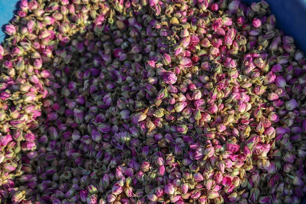 Сушеные Растения Травяные Чаи — стоковое фото