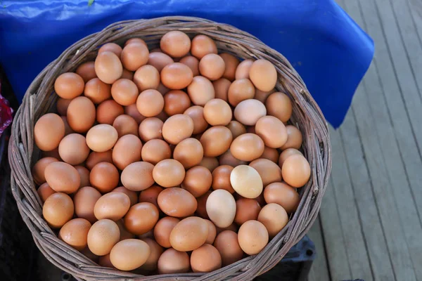 Organik yumurta doğa ürünler