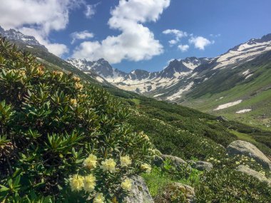 Dağcılık, kamp ve dağlar