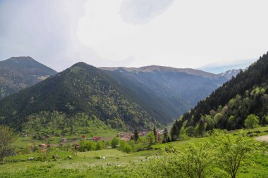 Dağcılık, kamp ve dağlar