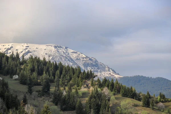 Alpinisme Camping Bergen — Stockfoto