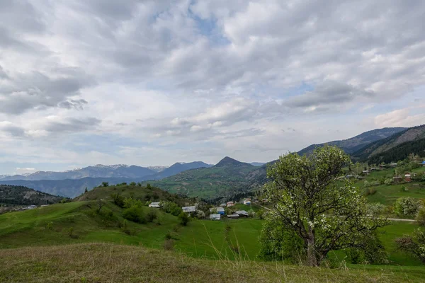 传统乡村住宅 Artvin Savsat — 图库照片