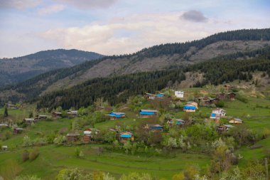Artvin savsat geleneksel köy evleri
