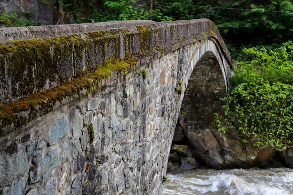 Historical bridges and rivers firtina rivers and cifte bridge Rize Turkey