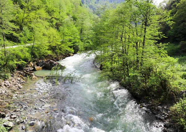 Fiumi Fiumi Primavera Rize Ikizdere — Foto Stock