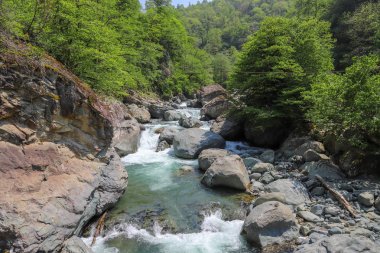 Nehir ve nehirler bahar Rize Ikizdere