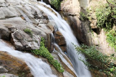 Bahar şelale ve doğadan Rize Mencuna