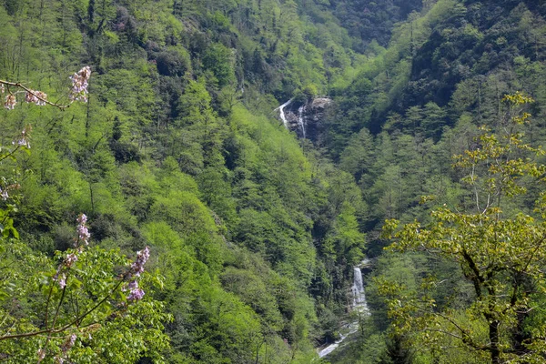 Cascata Primaverile Natura Rize Mencuna — Foto Stock