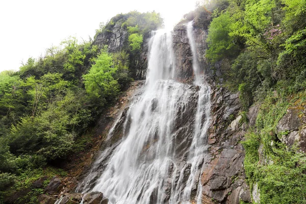 Lente Waterval Aard Van Rize Mencuna — Stockfoto