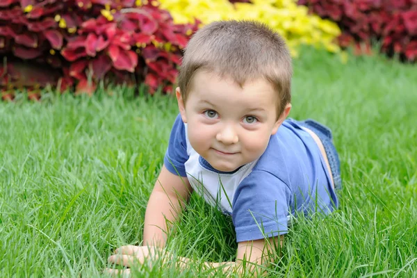 Ritratto di un ragazzo sdraiato sull'erba — Foto Stock
