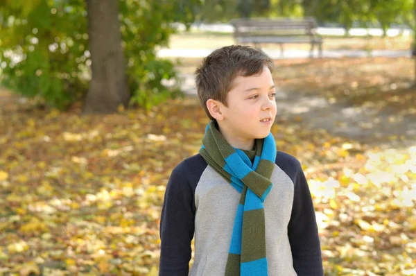 Scuola età ragazzo passeggiate in autunno foglie gialle — Foto Stock
