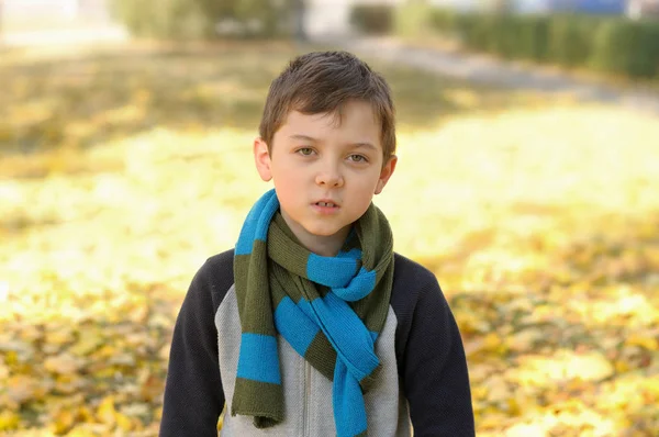 Ritratto di un ragazzo in età scolare in piedi su uno sfondo giallo — Foto Stock