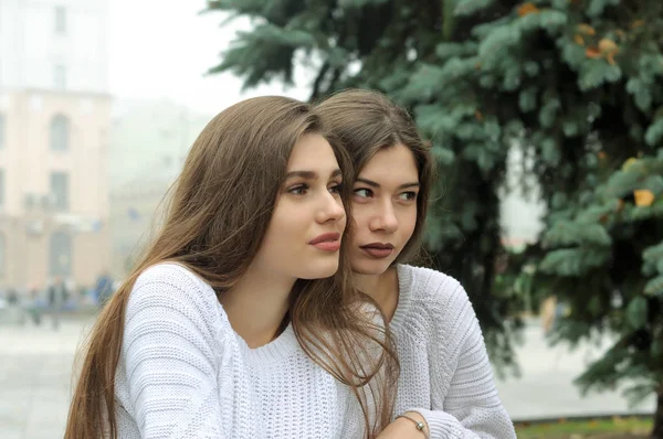 Två väninnor sitter nära julgranen — Stockfoto